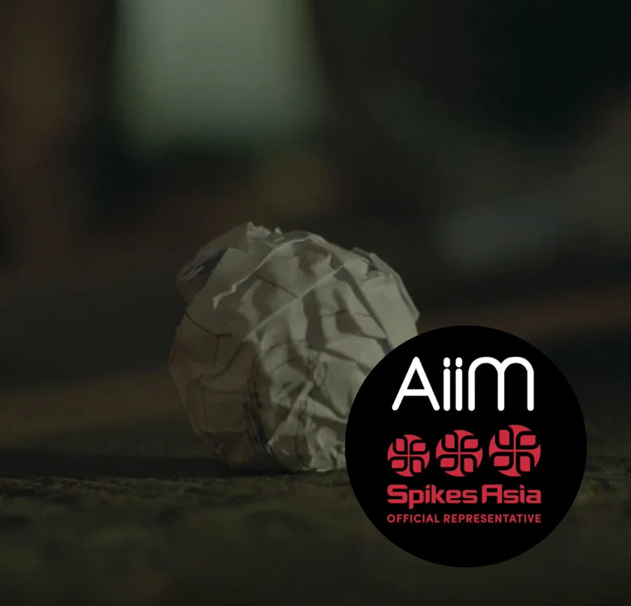 Aim vn pic.jpg