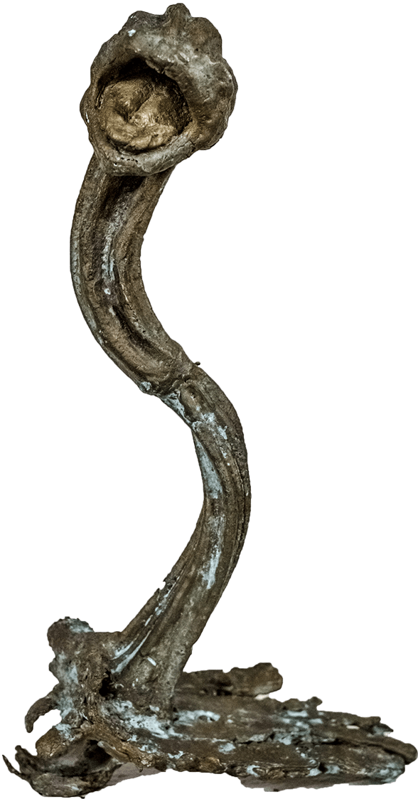 Snakebite