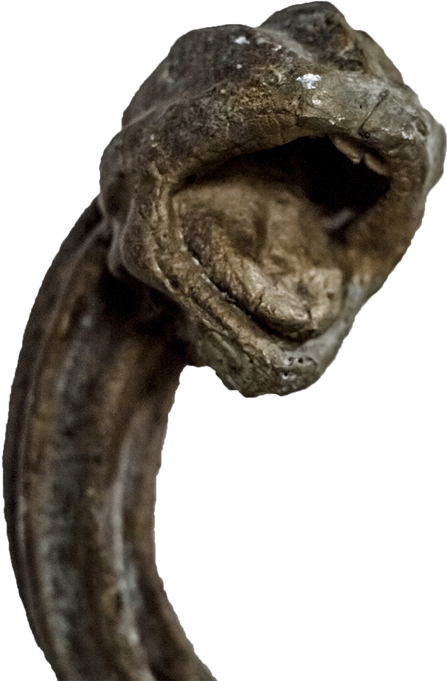 Snakebite
