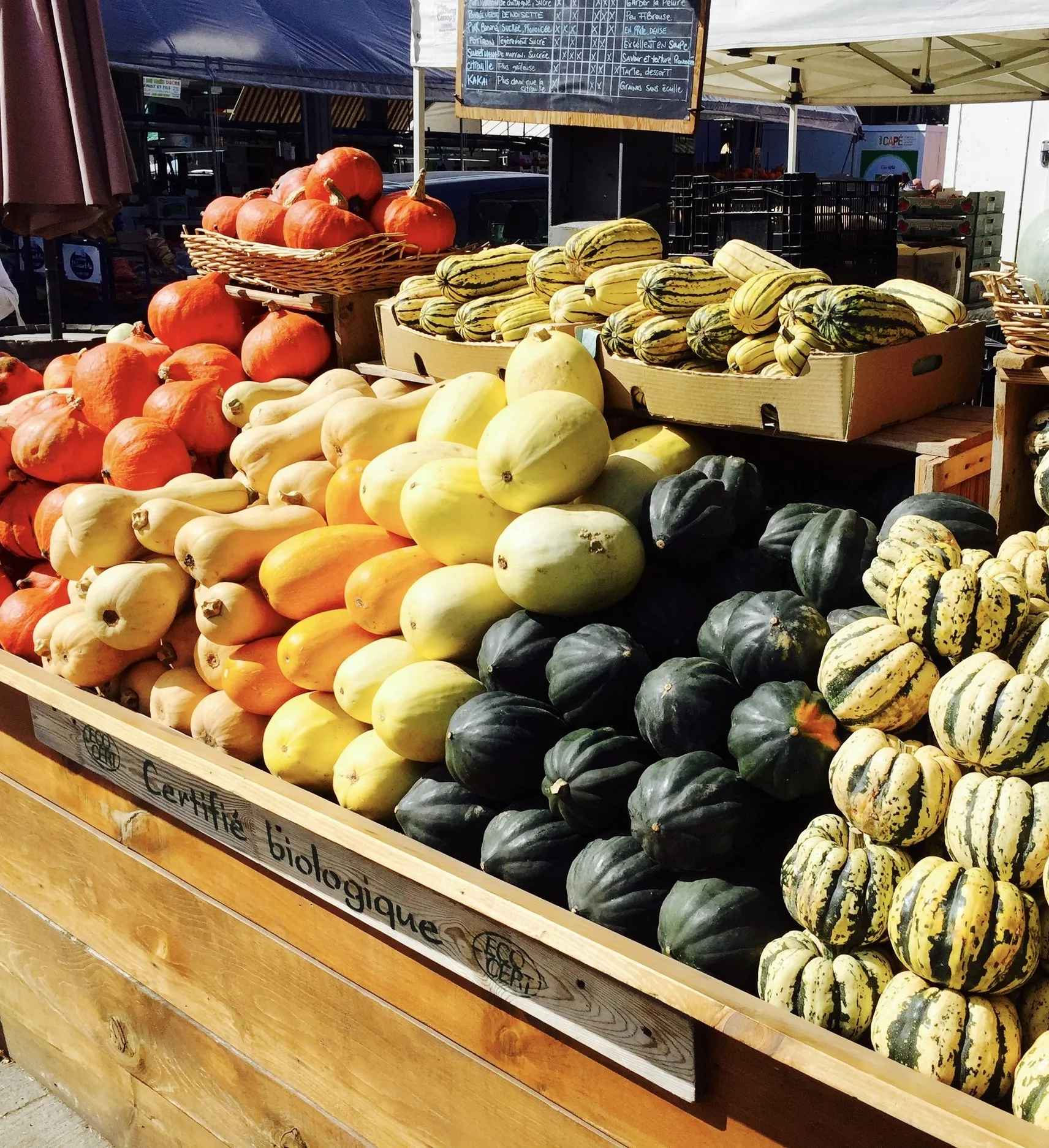 EXPEDITIONIST Diaries: A 3 day Micro-Trip to Montreal