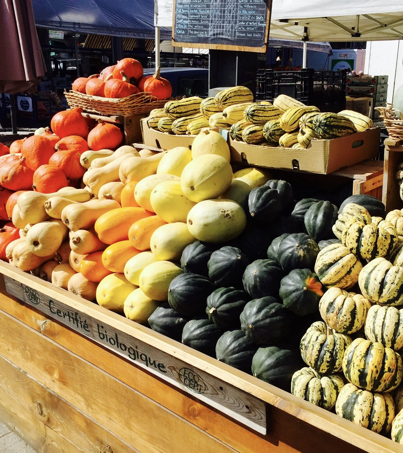 EXPEDITIONIST Diaries: What To Do On a 3 day Micro-Trip to Montreal