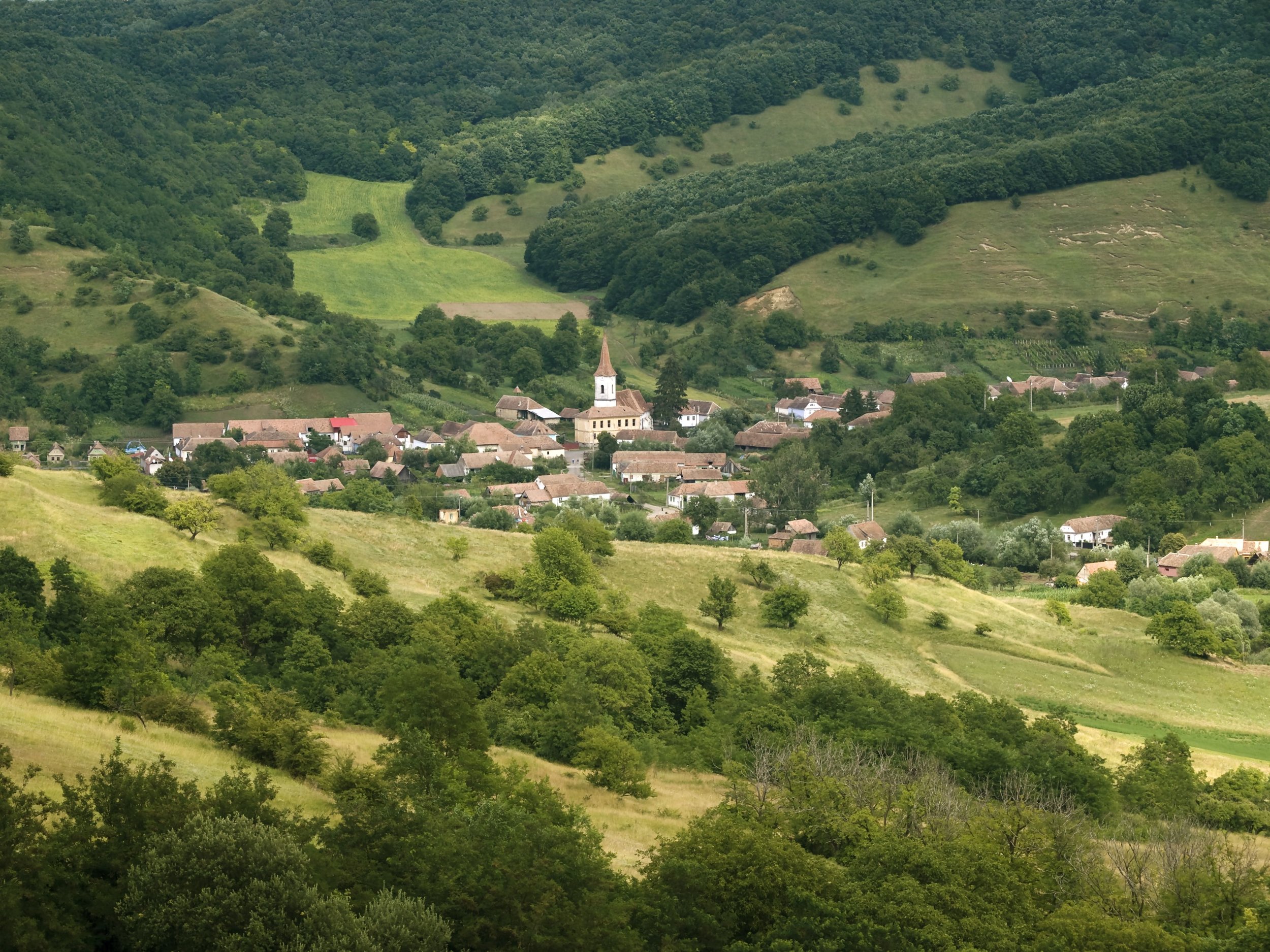 Saxon Land