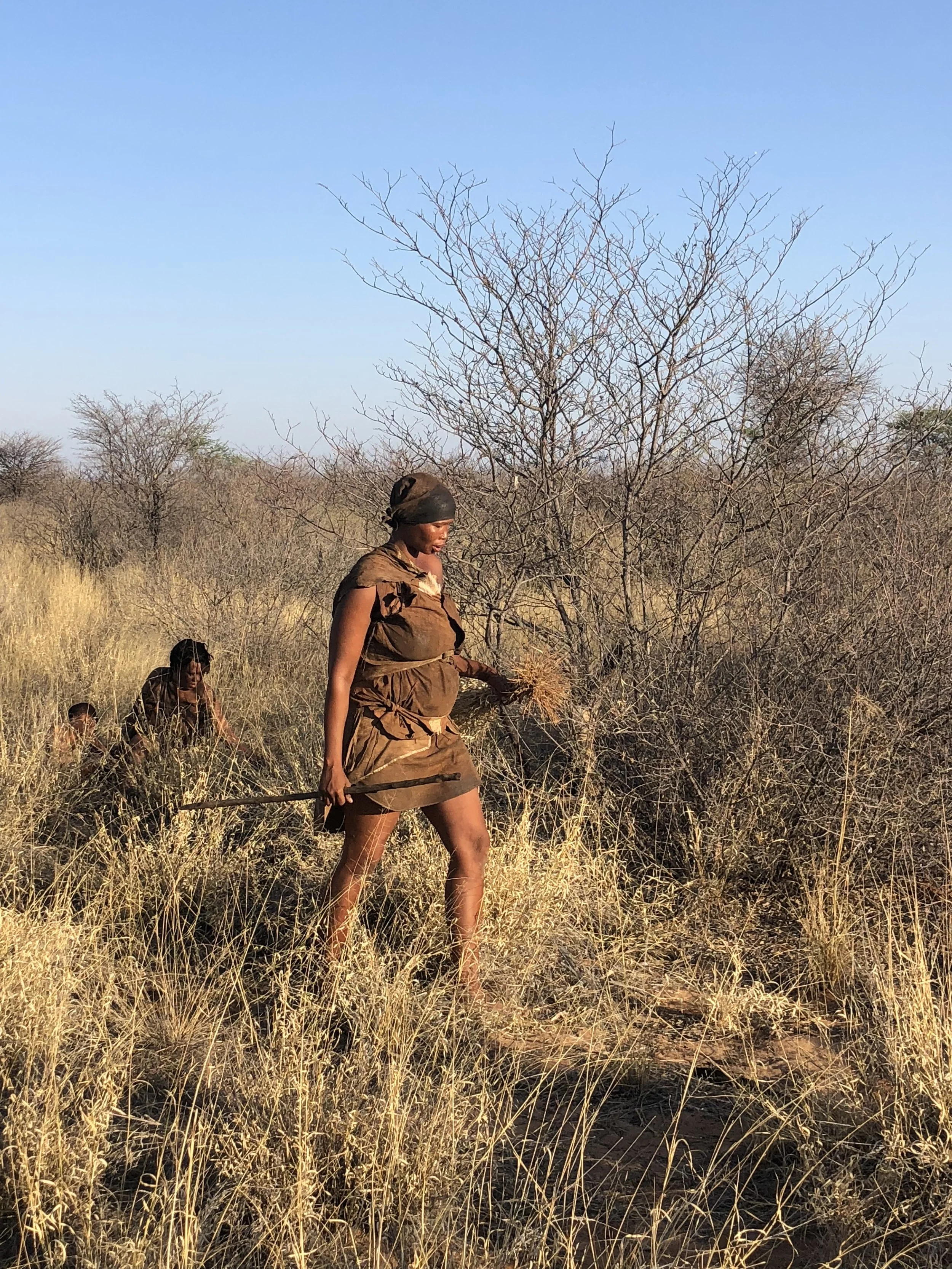 A Window Into The Lives Of Namibia’s Kalahari Bushmen