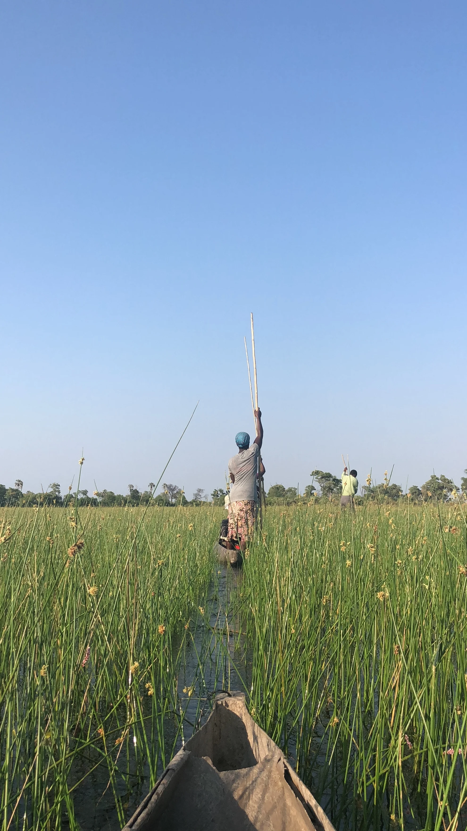 The Graceful Polers of Botswana’s Okavango Delta