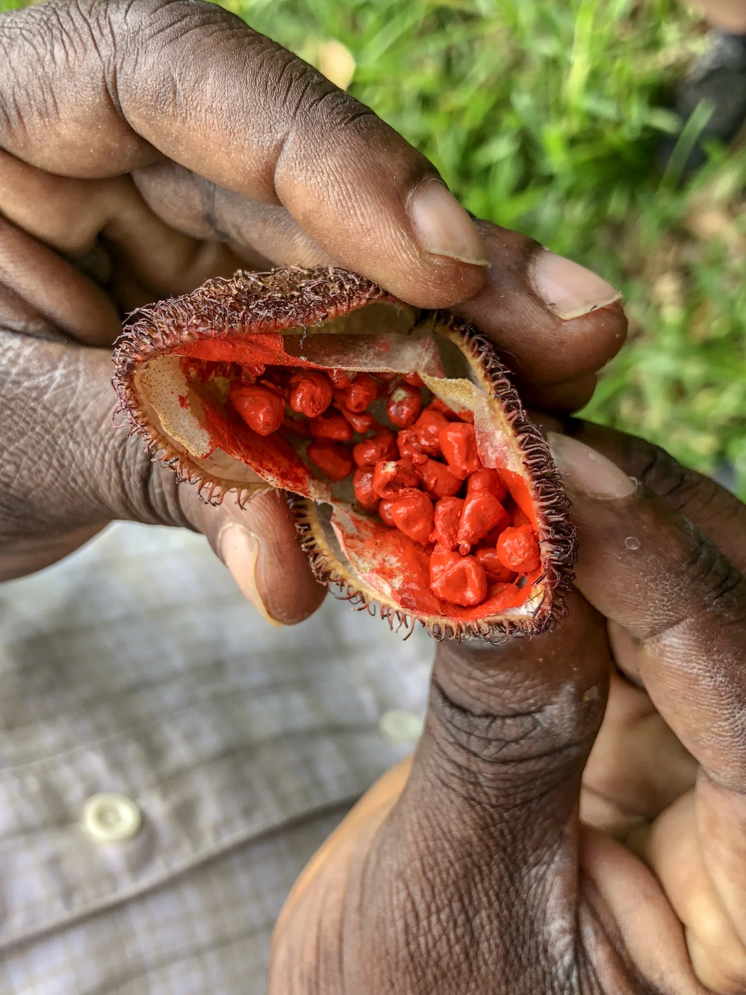 Spice Island: Discovering the Culinary Culture in Zanzibar, Tanzania