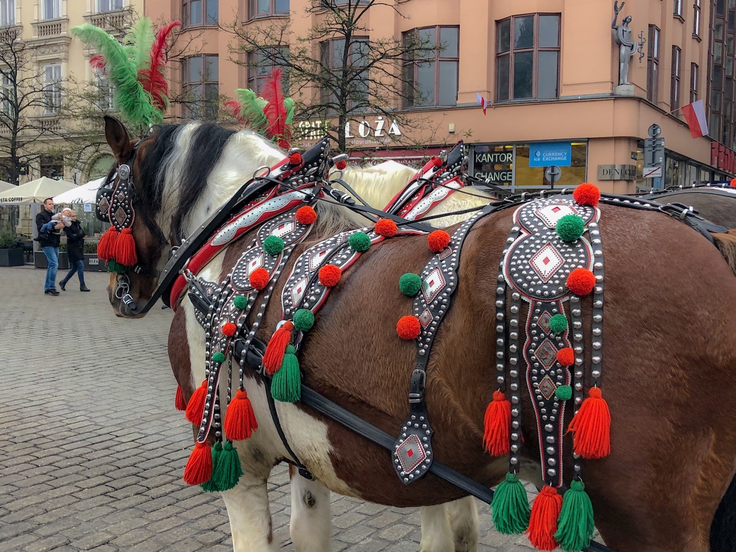 Elaborately decorated horse and carriage, Old Square