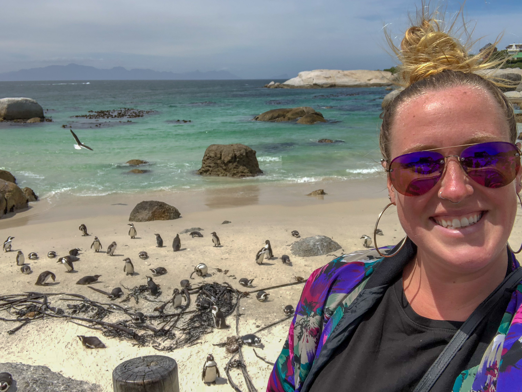 Boulder Beach Penguin Visit