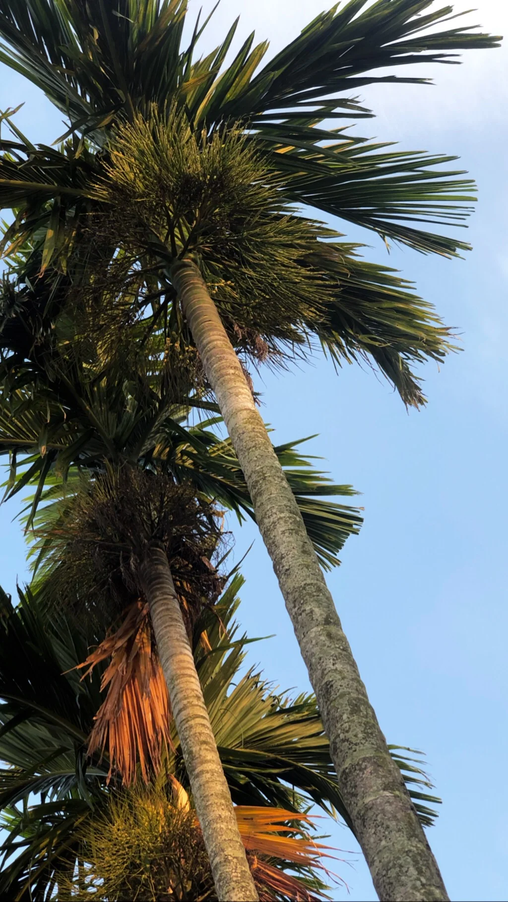 EXPEDITIONIST Diaries: How To Find Time For Reflection When Faced With Constant Outward Influences