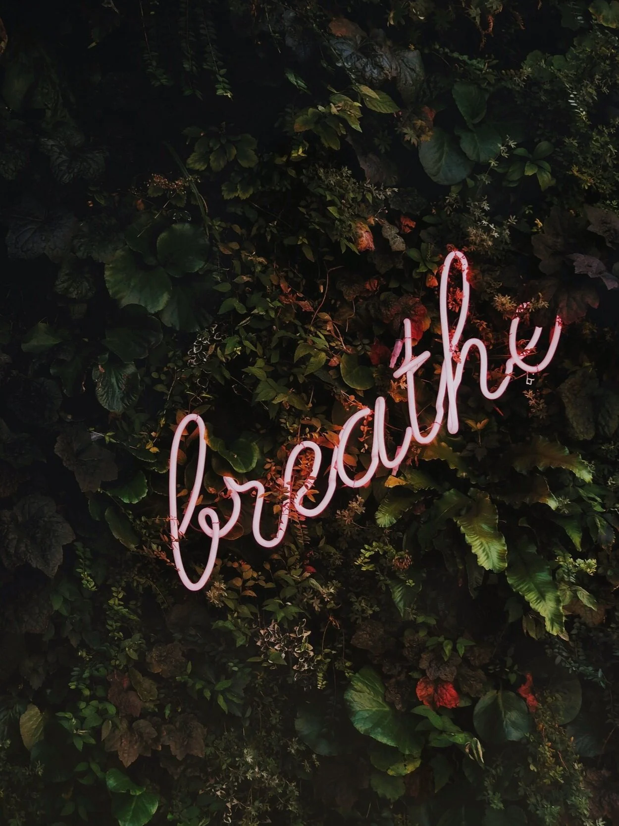 EXPEDITIONIST Diaries: 7 Ways I'm Keeping My Spirits Up During Self-Isolation