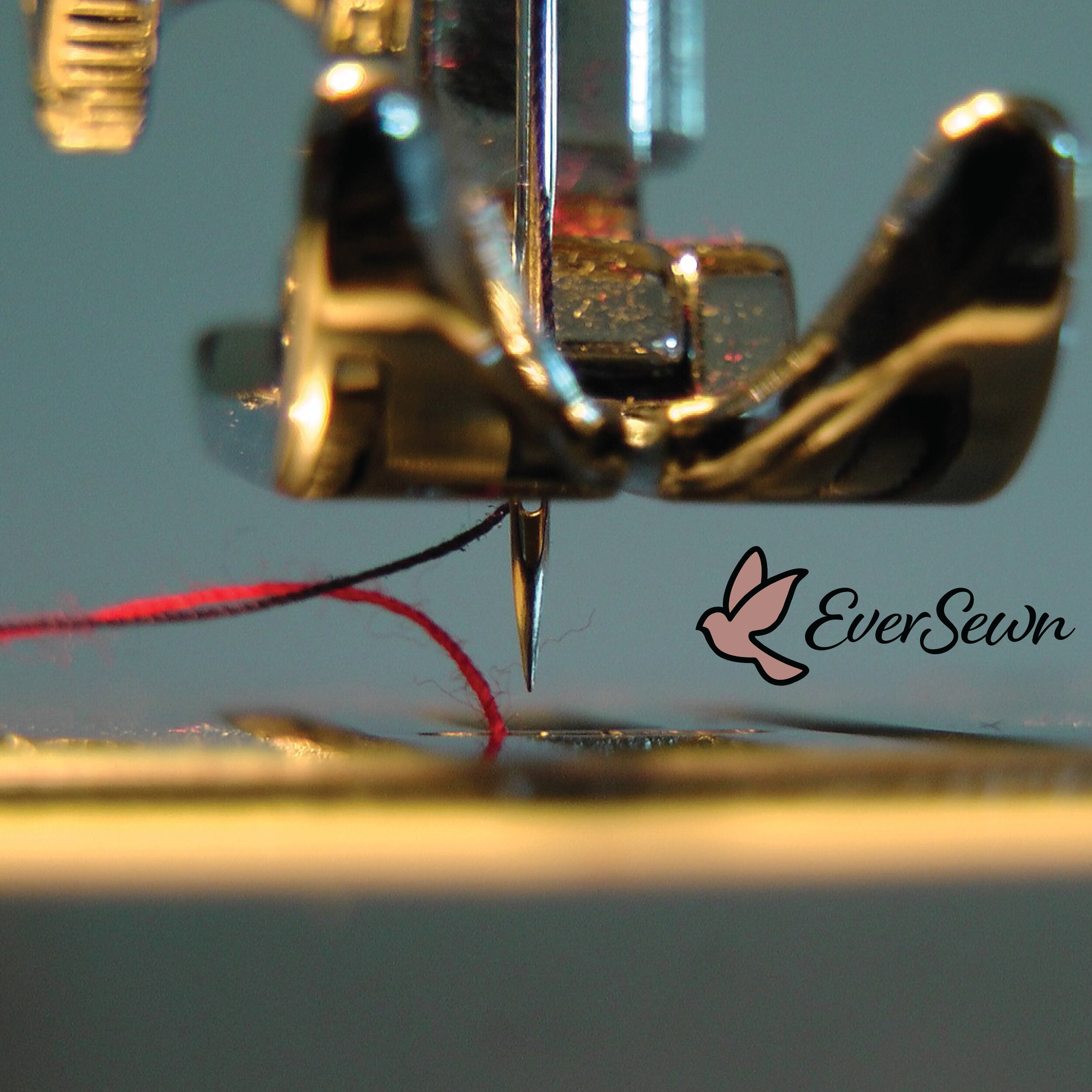 Get Sewing: How to Choose a Needle for Your Machine and Project