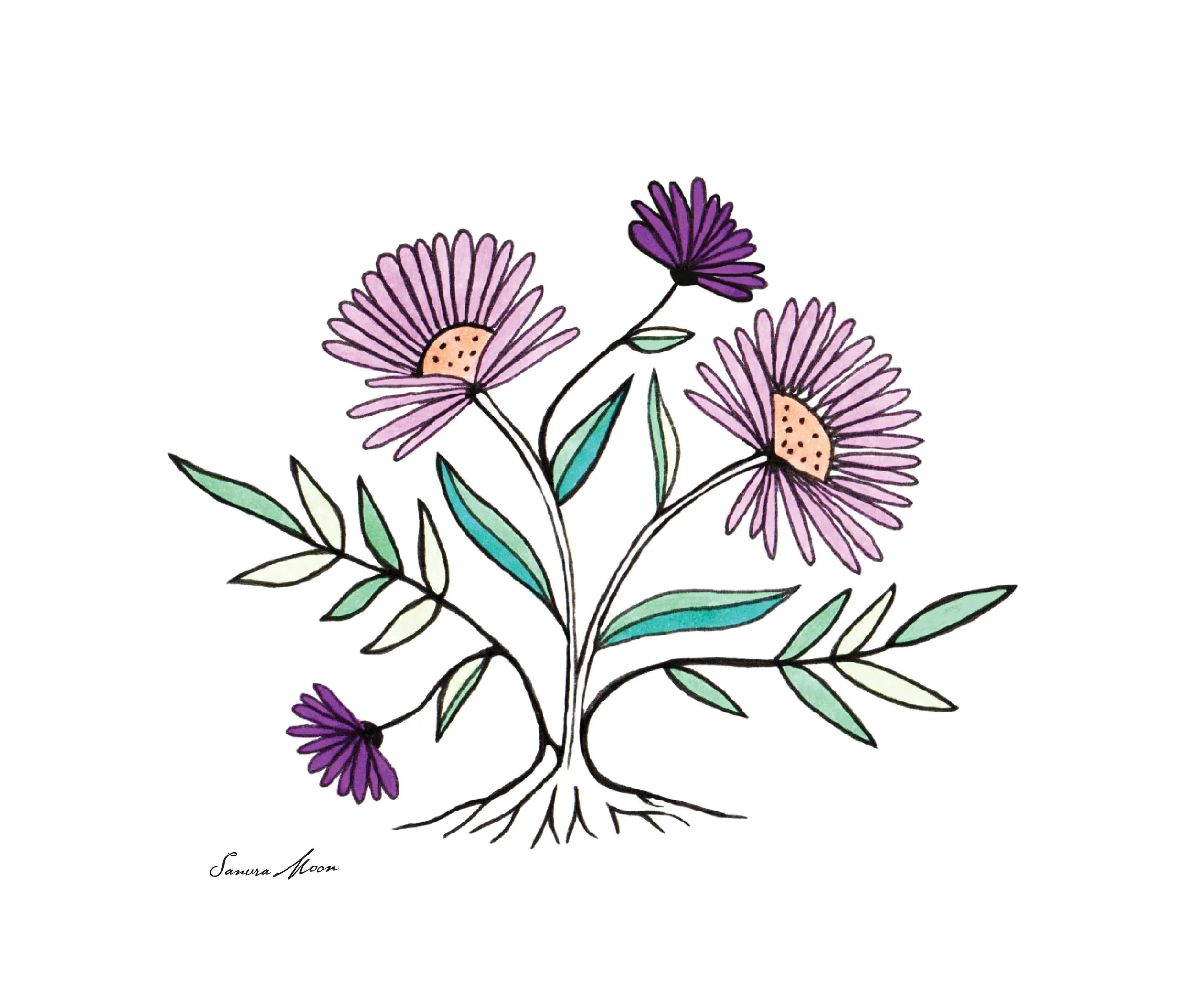 Flower_Draw_1.jpg