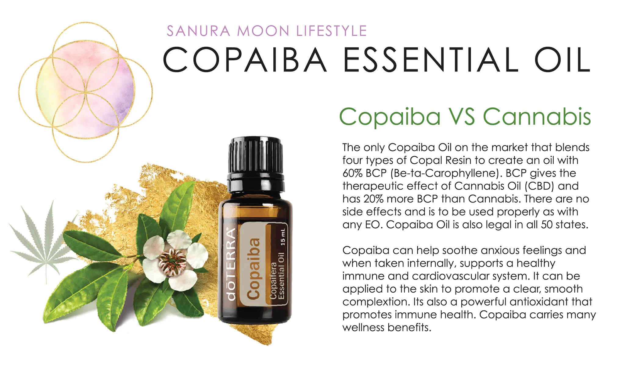 Capaiba_OIL_about_.jpg
