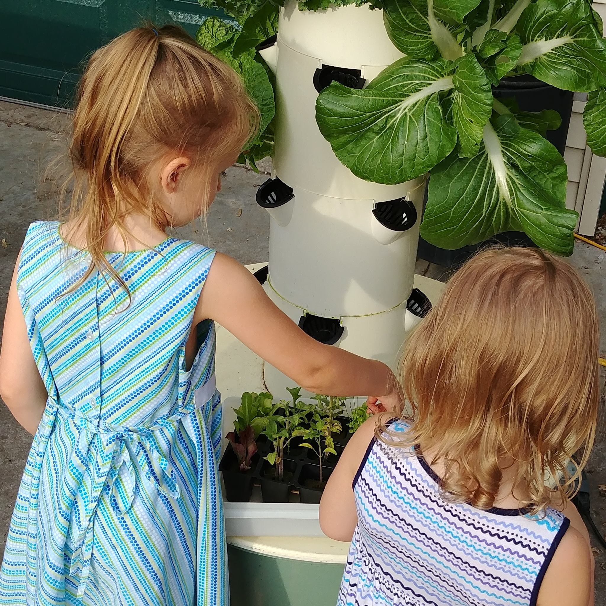 Kids_Tower_Garden_4.jpg