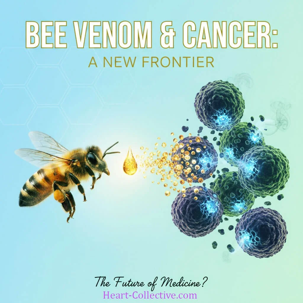 Bee Venom Therapy Used To Help Fight Cancer