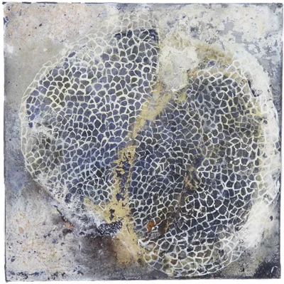 VÆV 2013. Aske, pigment og akryl 30x30