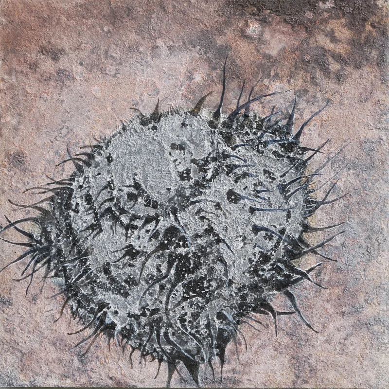 Fund 2014. Aske, pigment og akryl 30x30