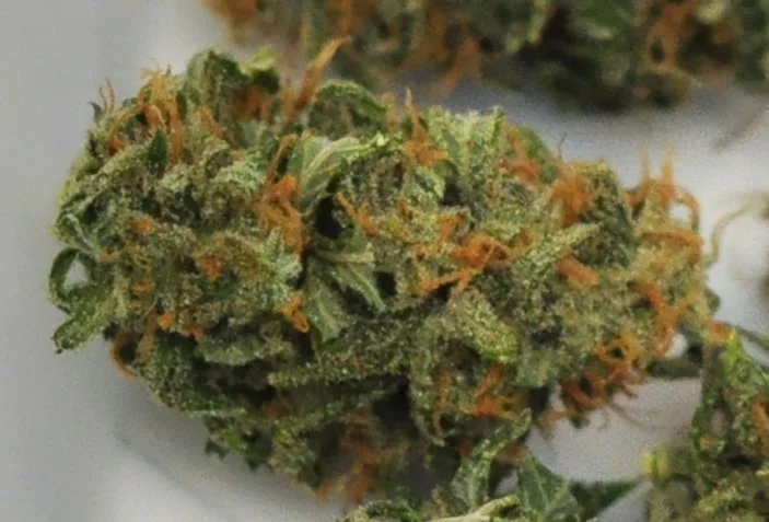 OSB cannabis picture from The New Frontier Research labs.jpg