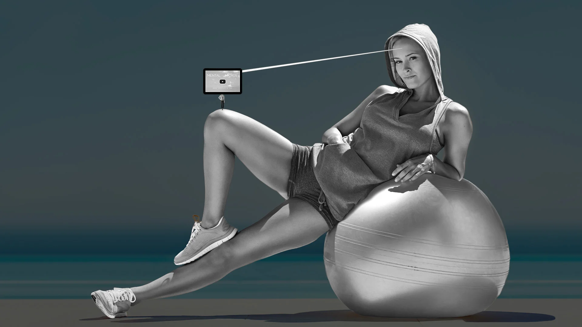 Ignition Micros silver header.jpg