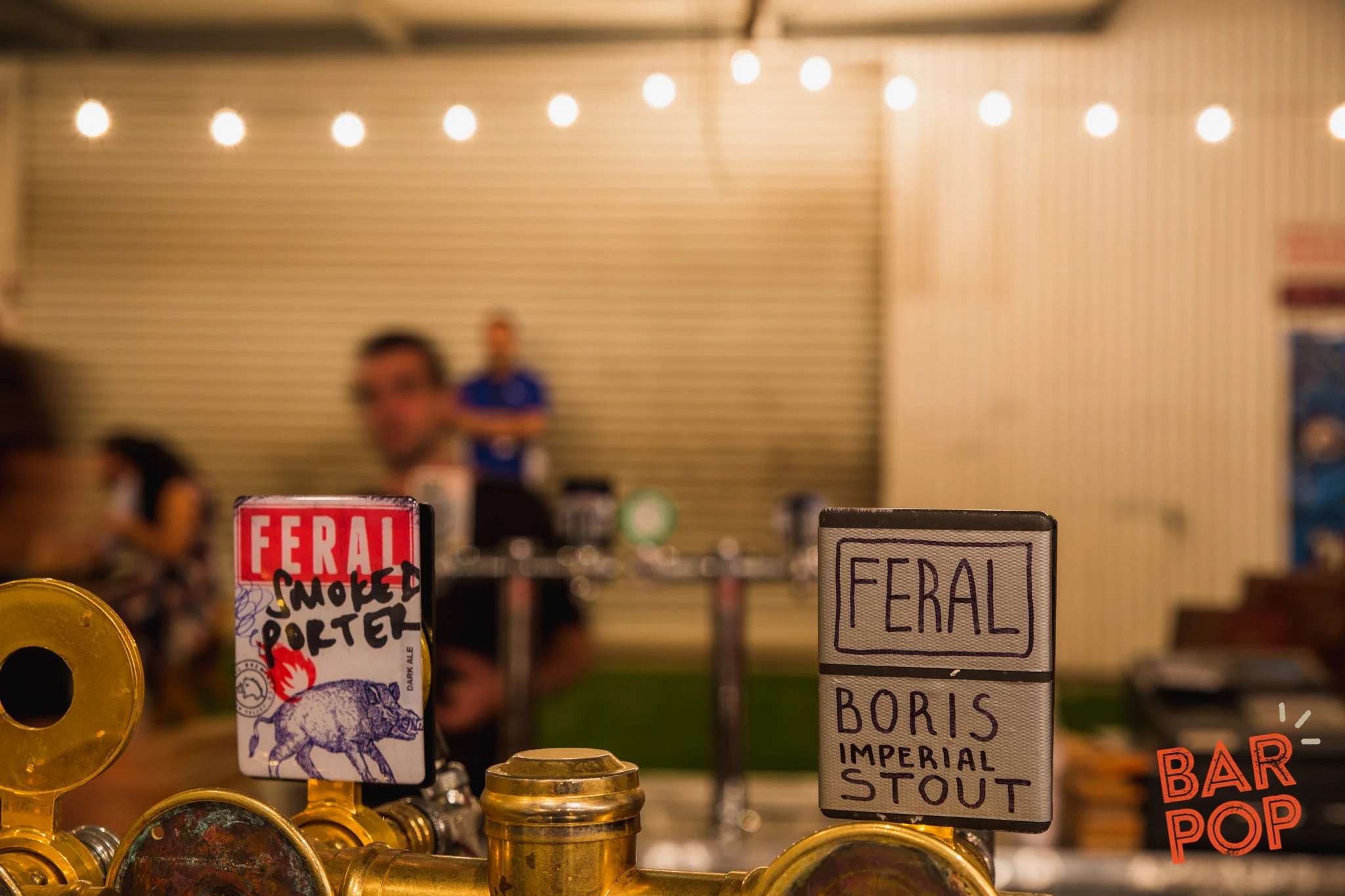 2016.04.23 FERAL FEST 3_WR -47.jpg