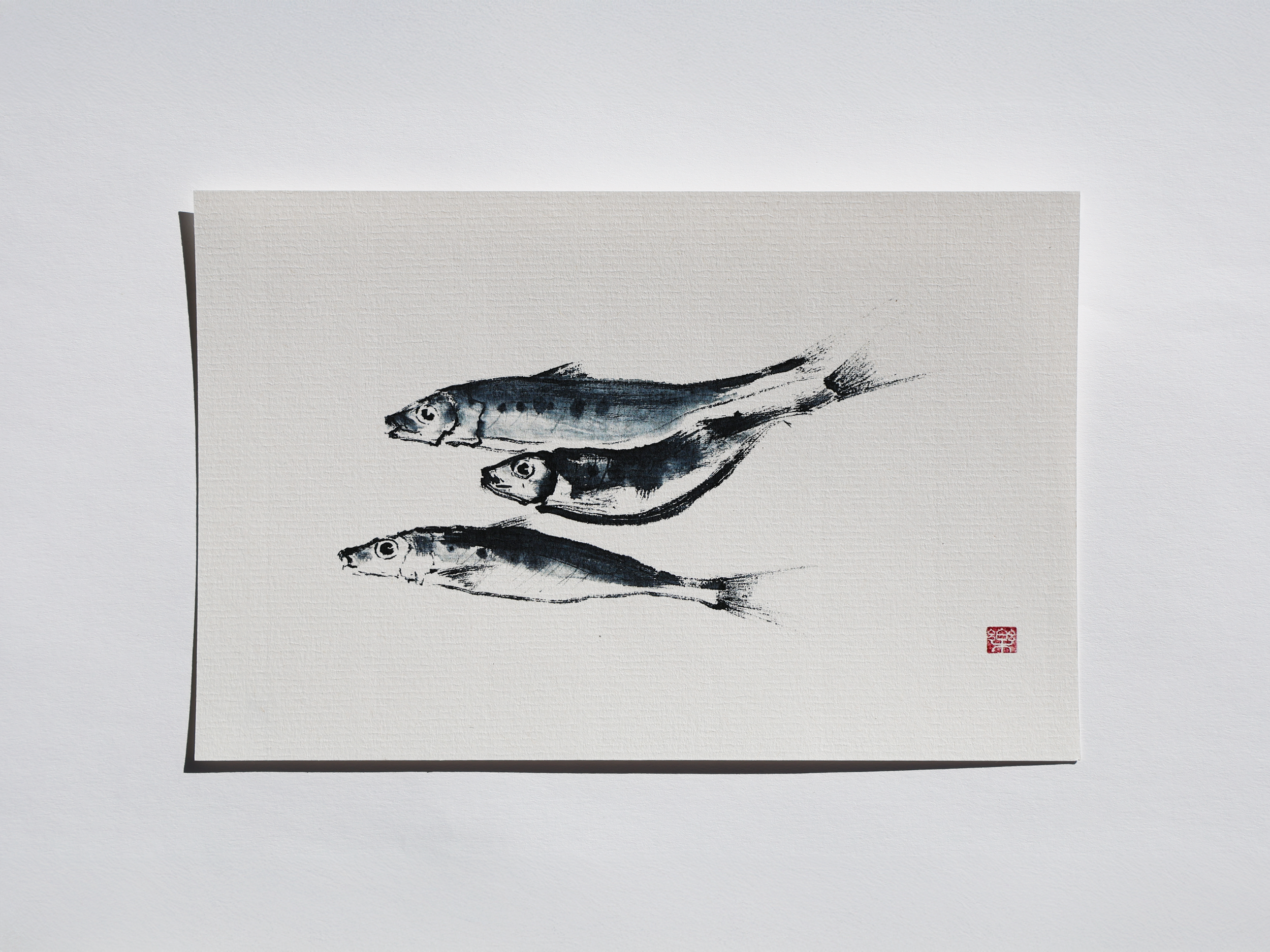 Sardines