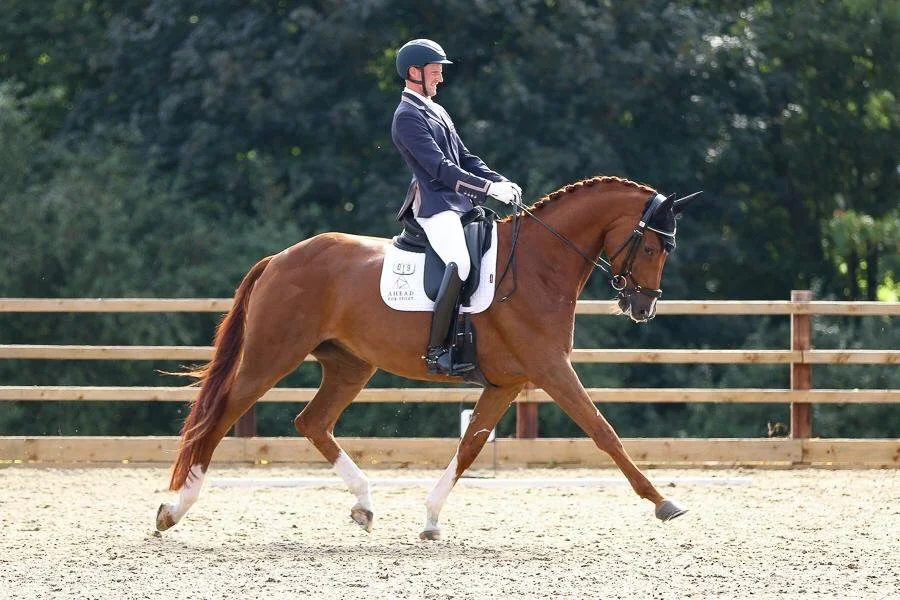 It's Just An Arena (prep for important competitions)