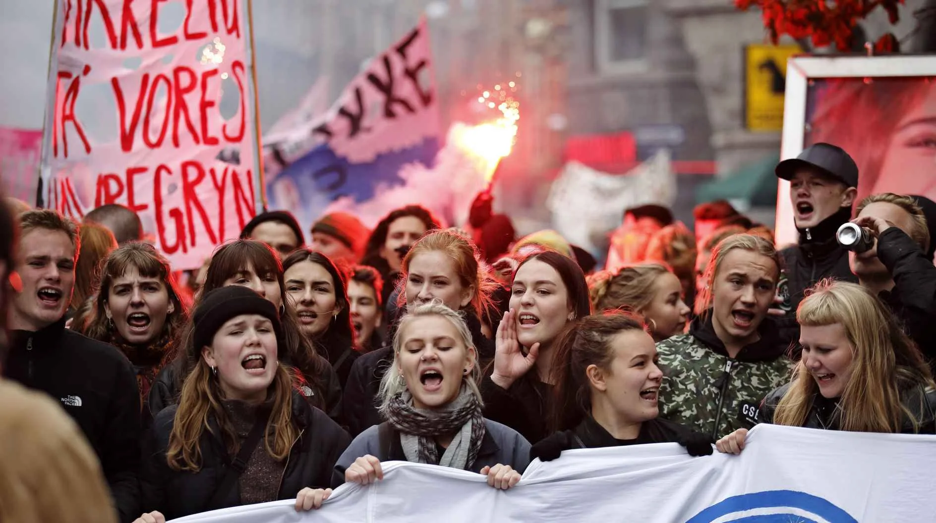 2017: Uddannelsesalliancens demonstration mod nedskæringer på uddannelser. Kilde: Kristeligt Dagblad