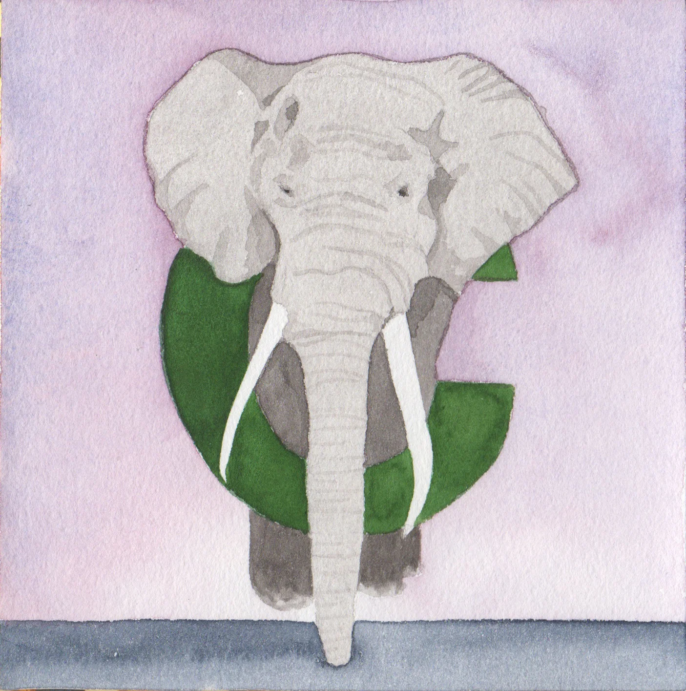 C_elefante.jpg
