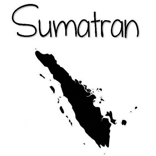 sumatran stamp.jpg