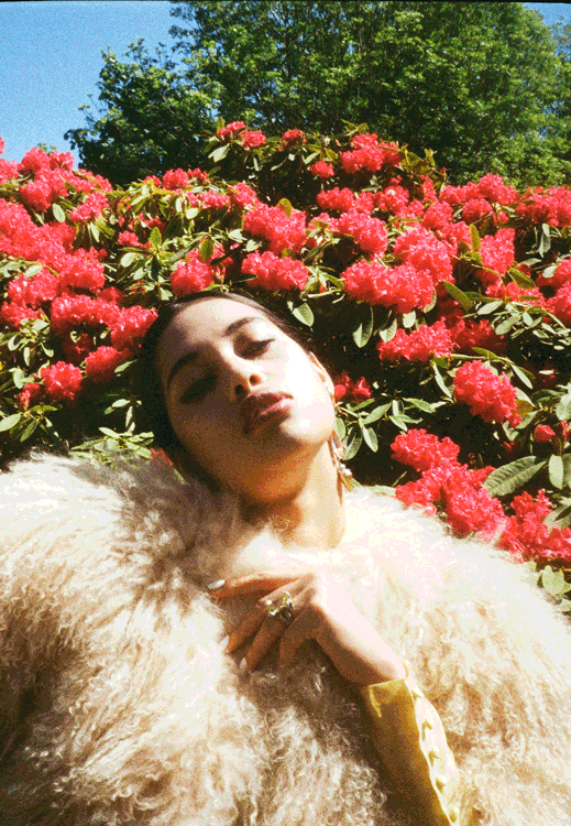 Ava De Lacy - Arcadia Editorial