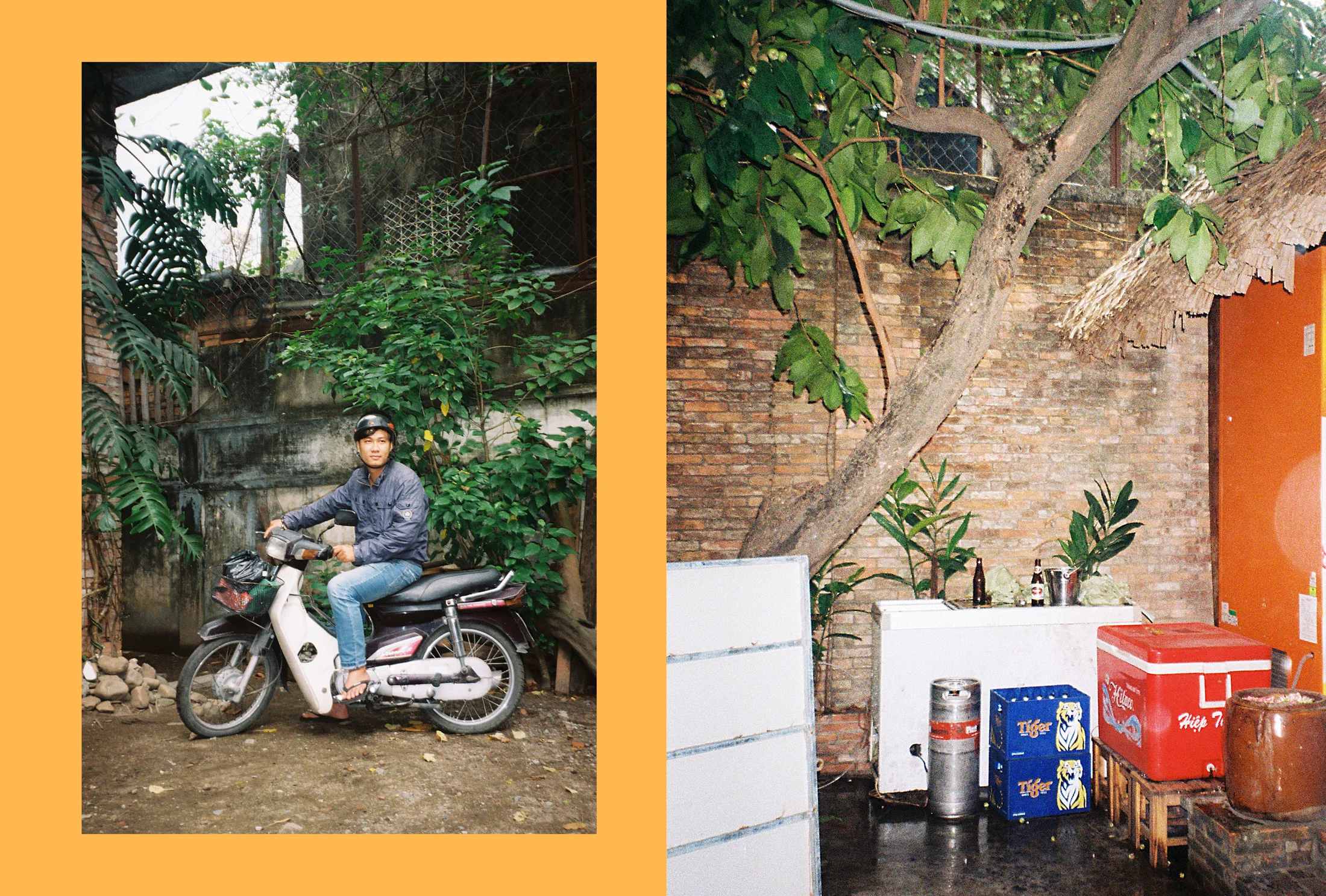 Friends - Vietnam