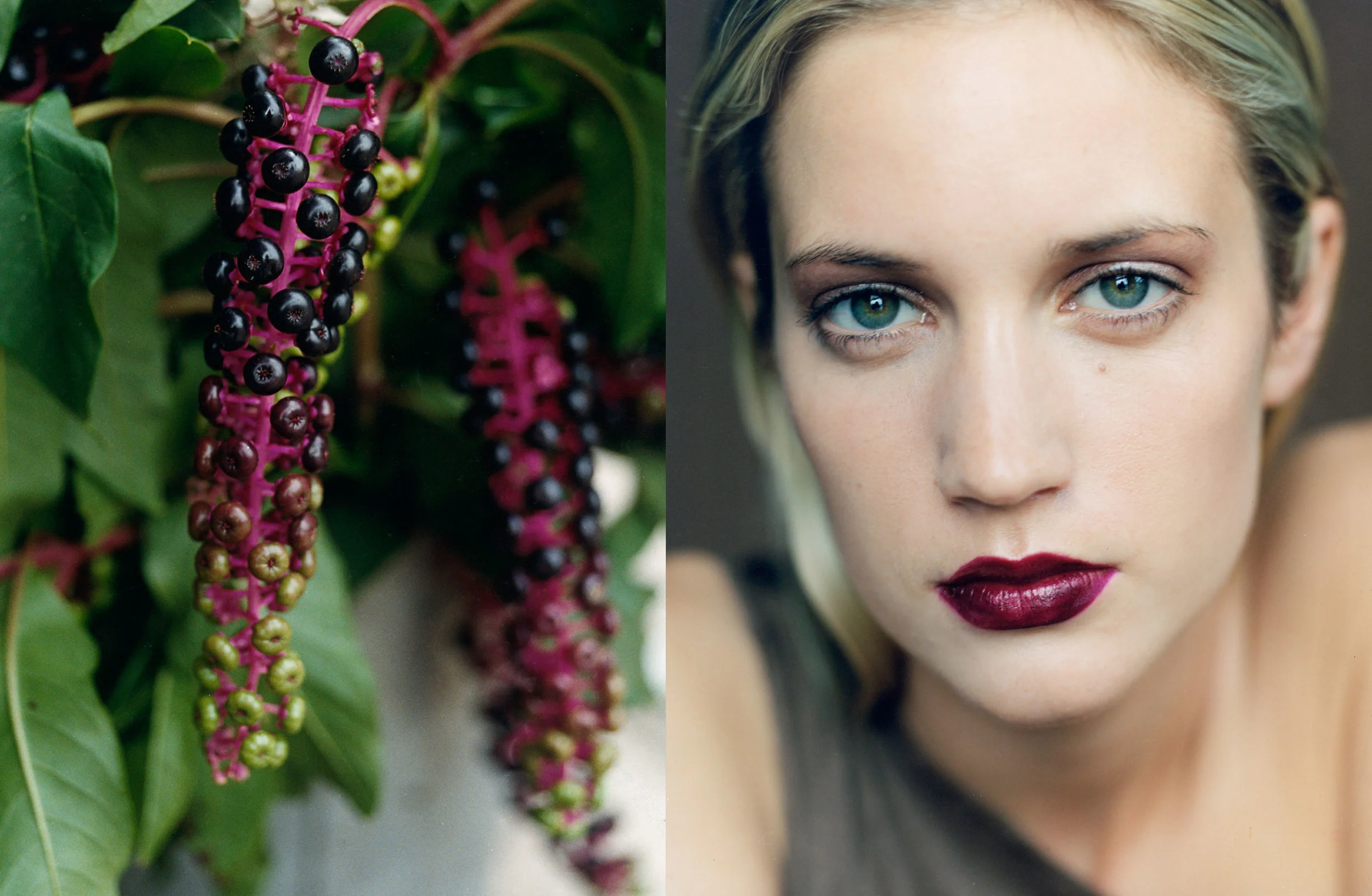 beauty-4.jpg