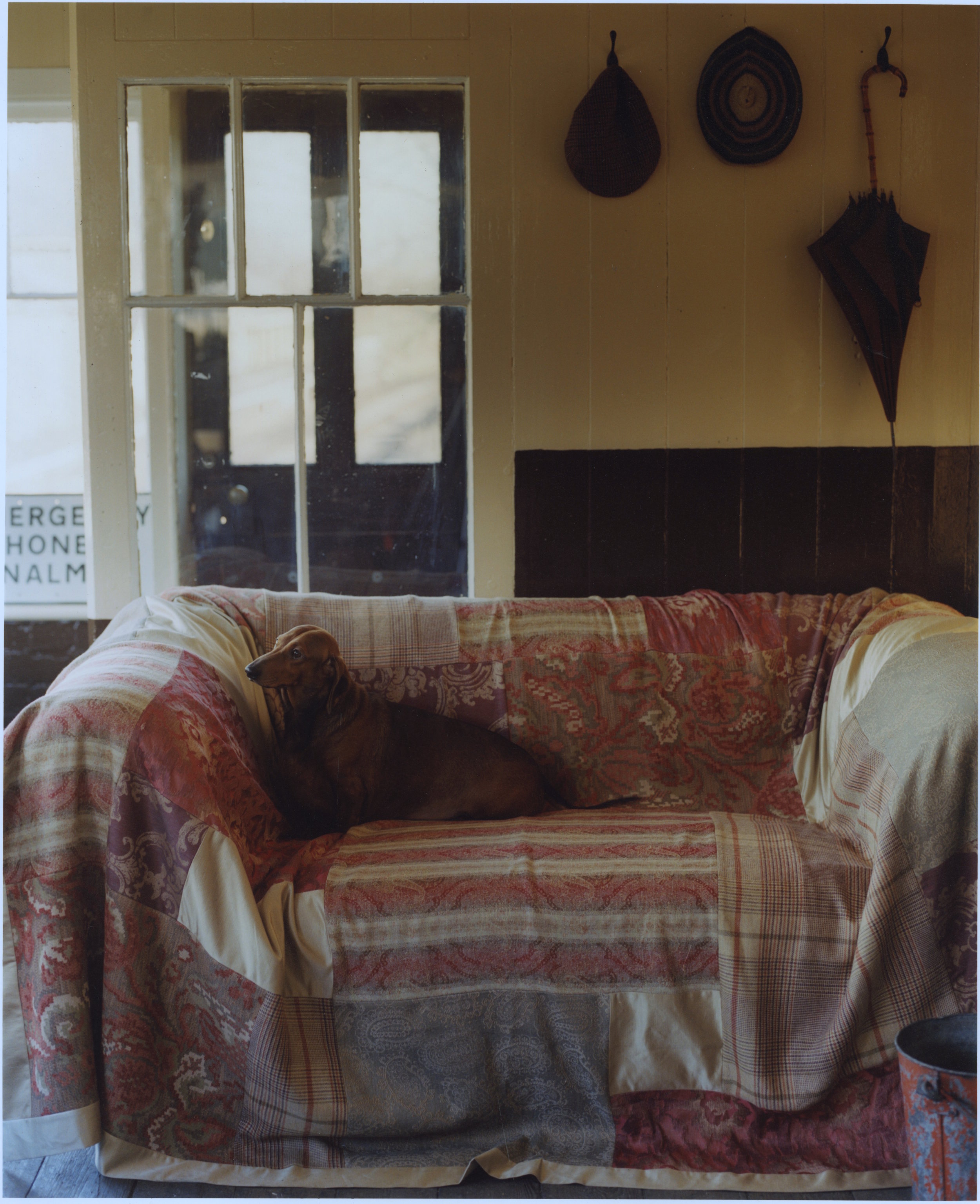Mulberry Home