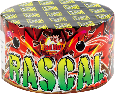 Rascal.jpeg