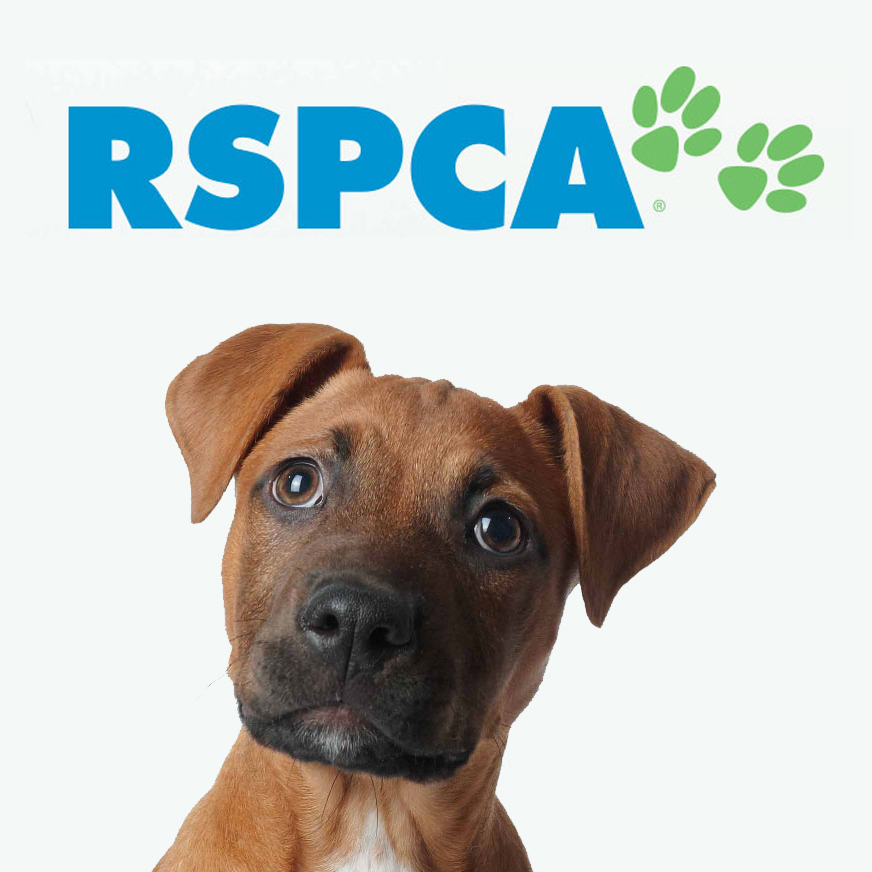 RSPCA logo.jpg