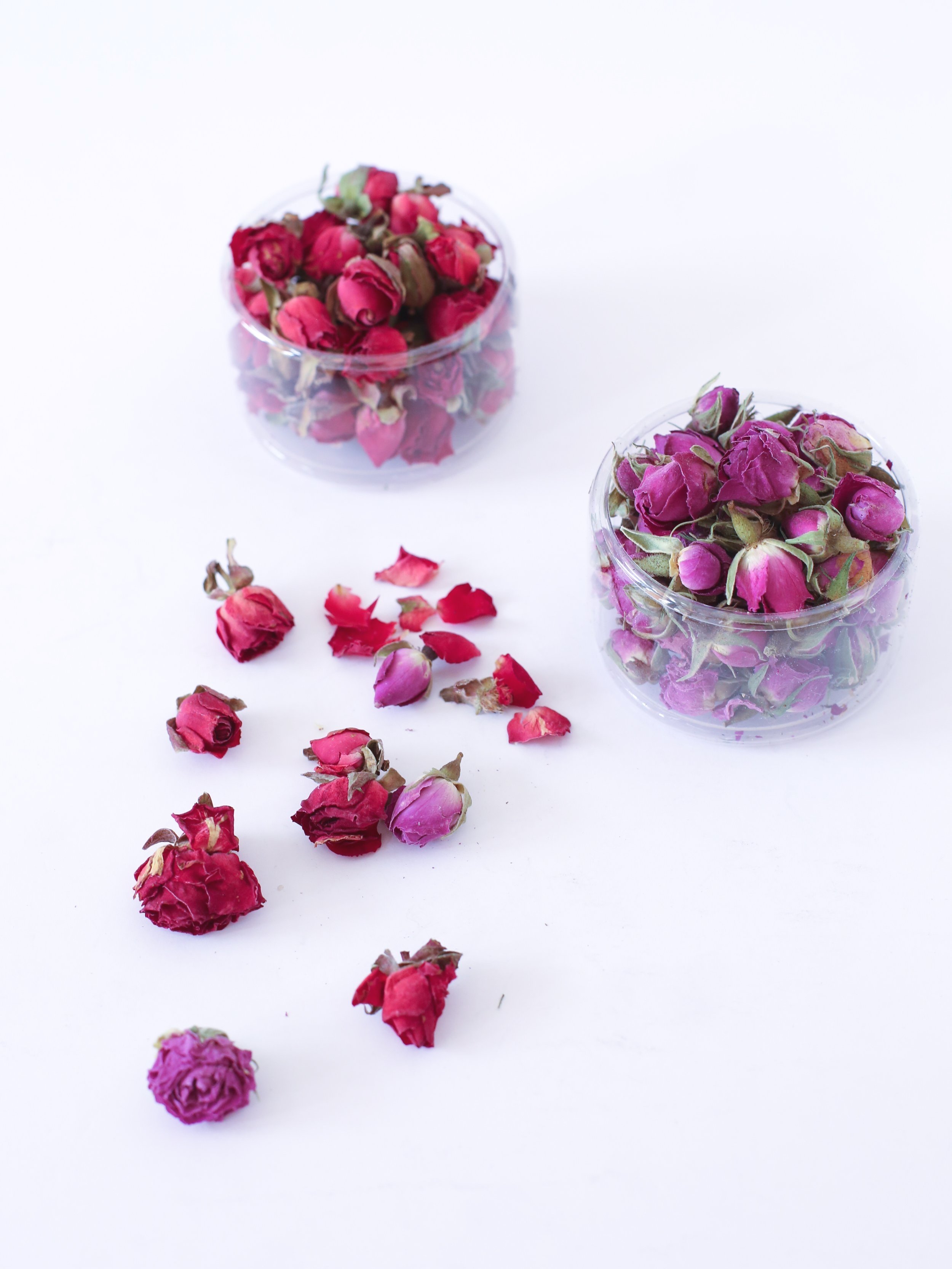 Edible Miniature Damask Rose — ZoZo