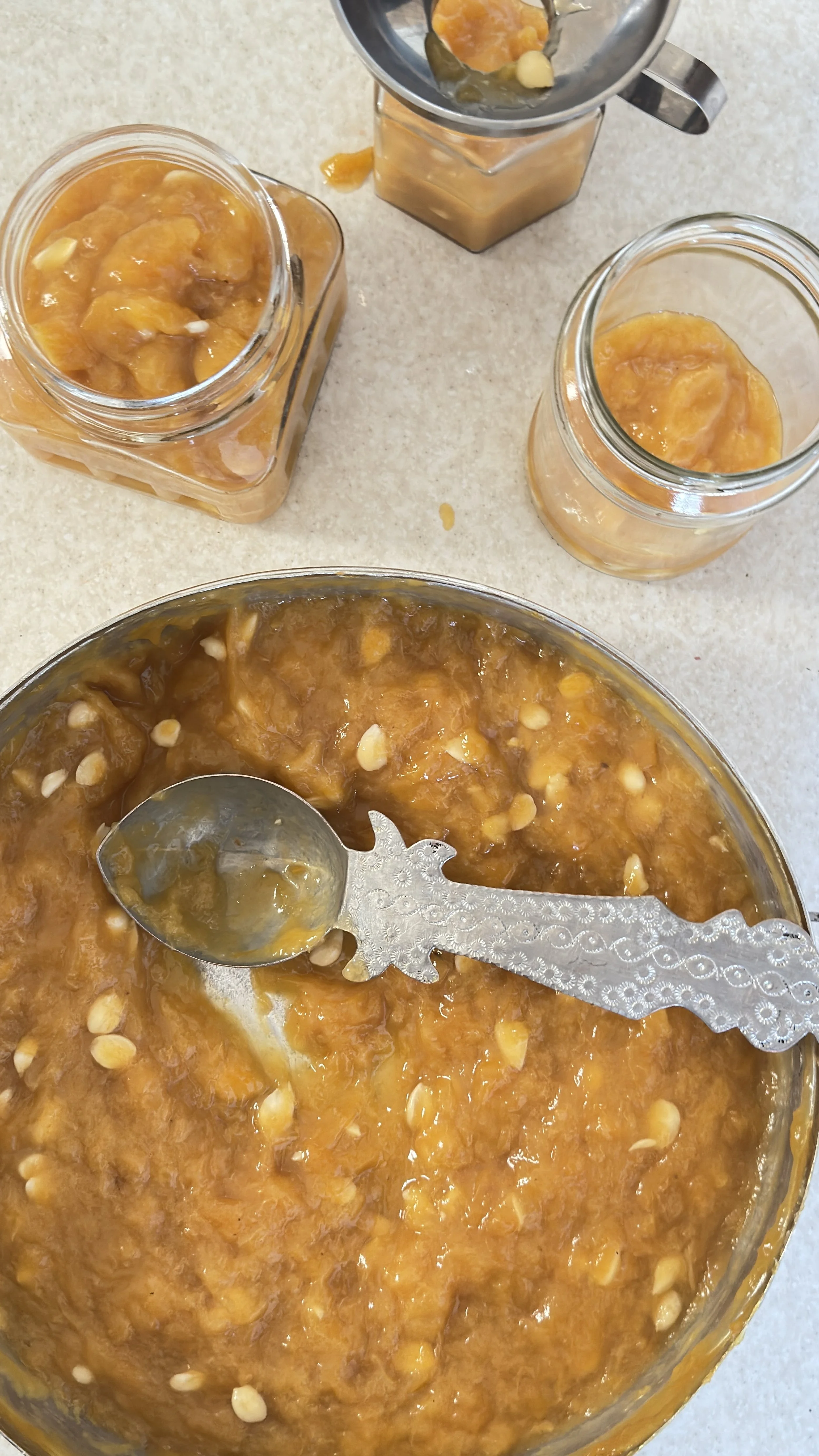 Apricot Marmalade/ مارمالاد زردآلو