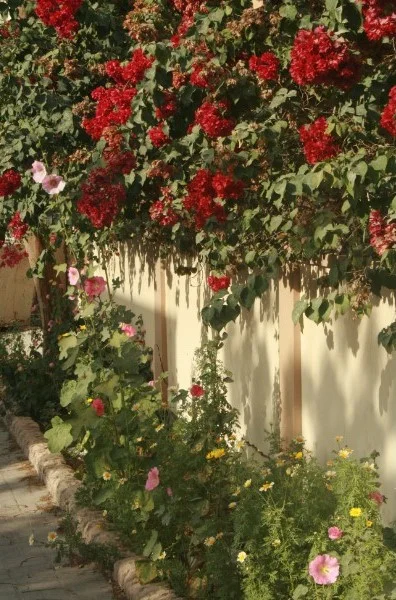 Riffa 025.JPG
