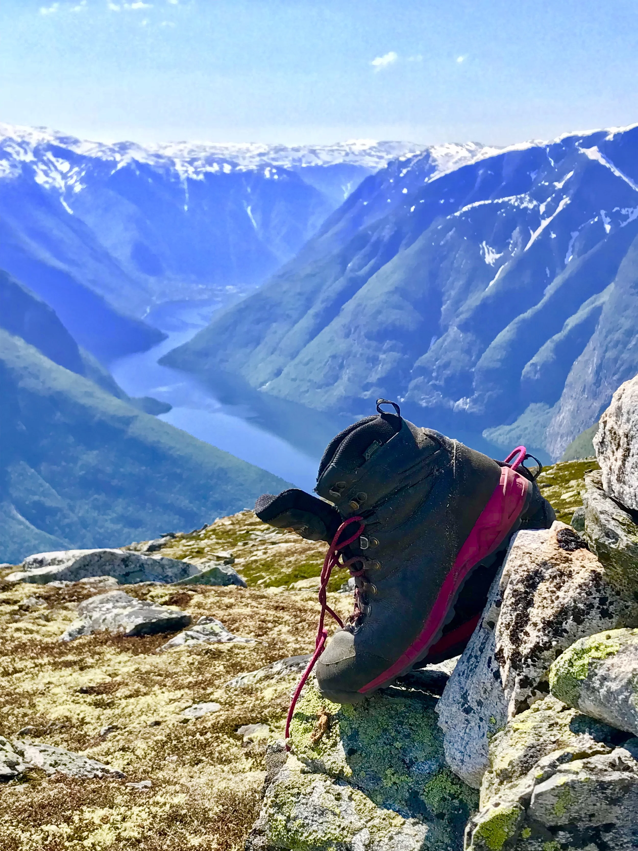 Botnanosi2018 R Øygarden.jpeg
