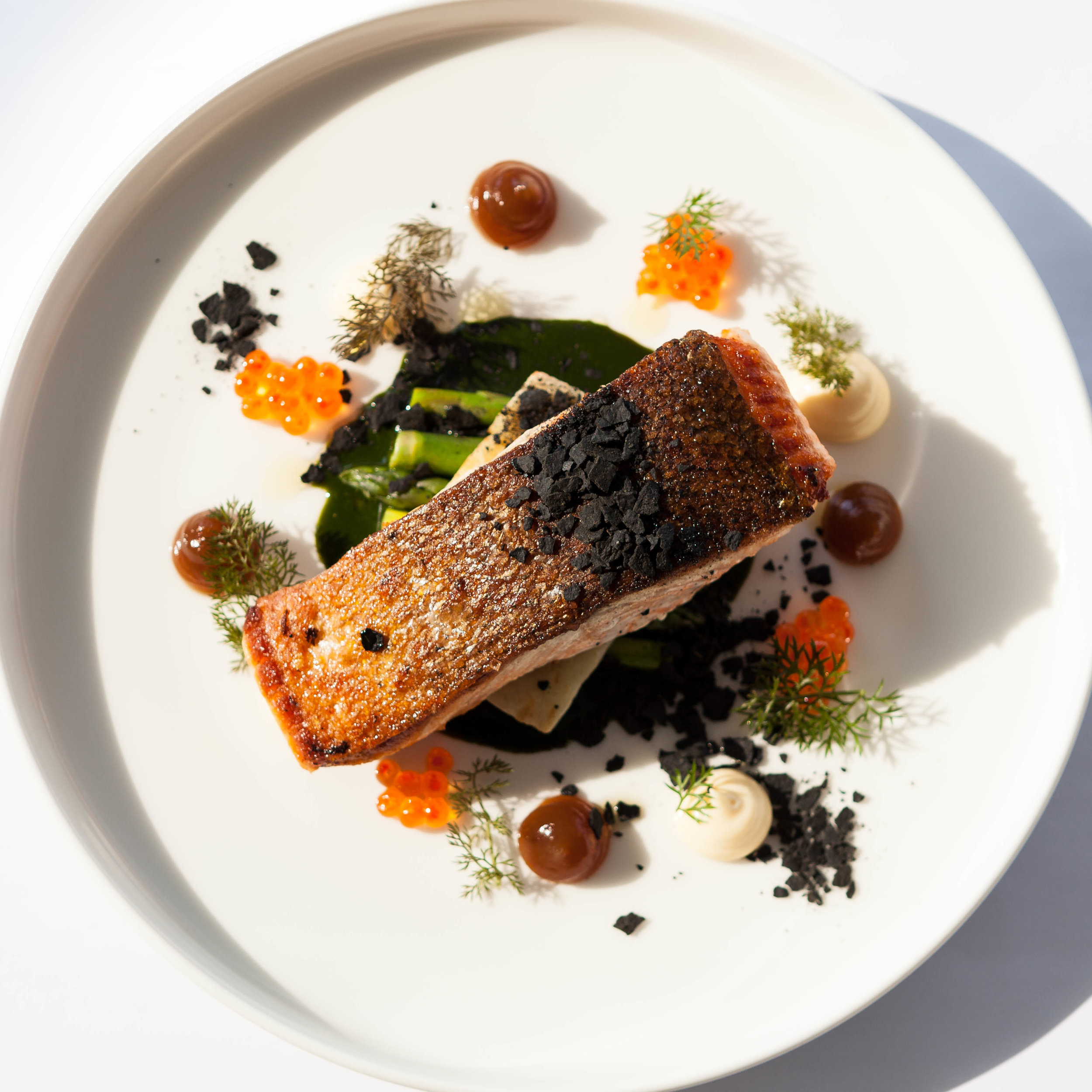 SEALEVEL 28-7-19.JPG