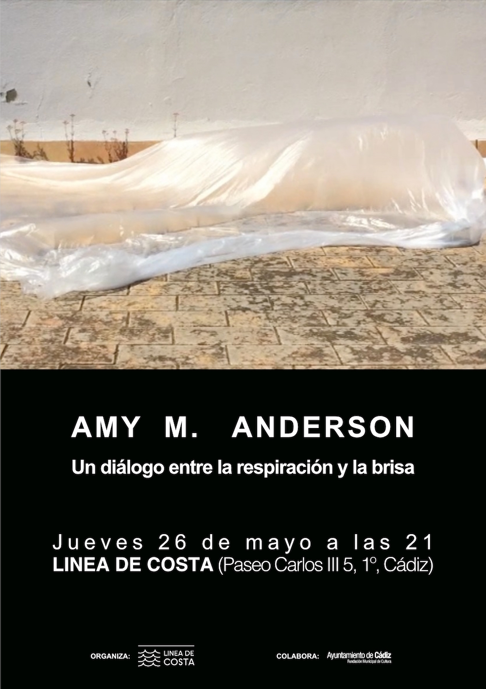 2016 05 26 AMY M. ANDERSON show card.jpg