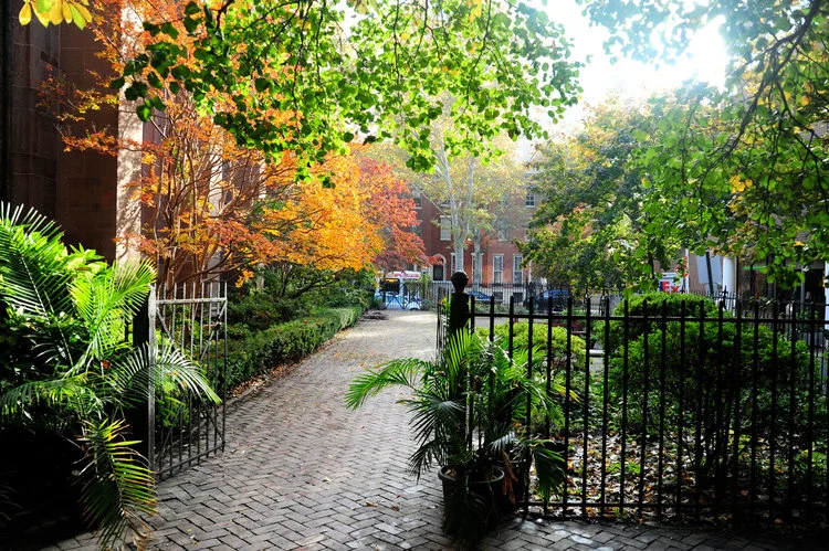 garden.jpg