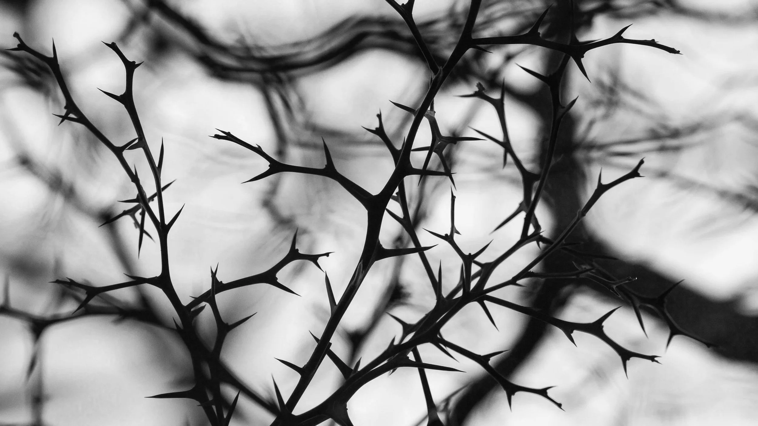 4th Saturday of Lent