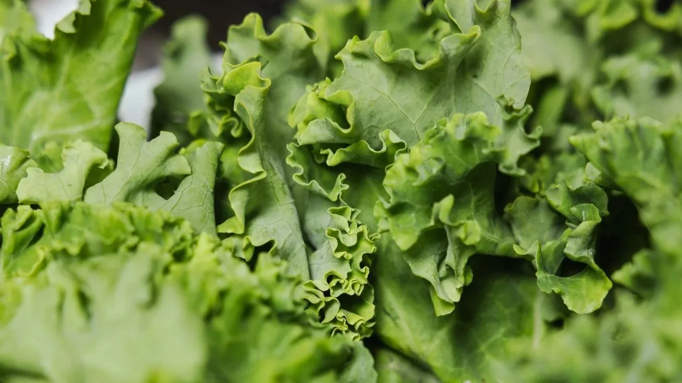 Kale close up.jpg
