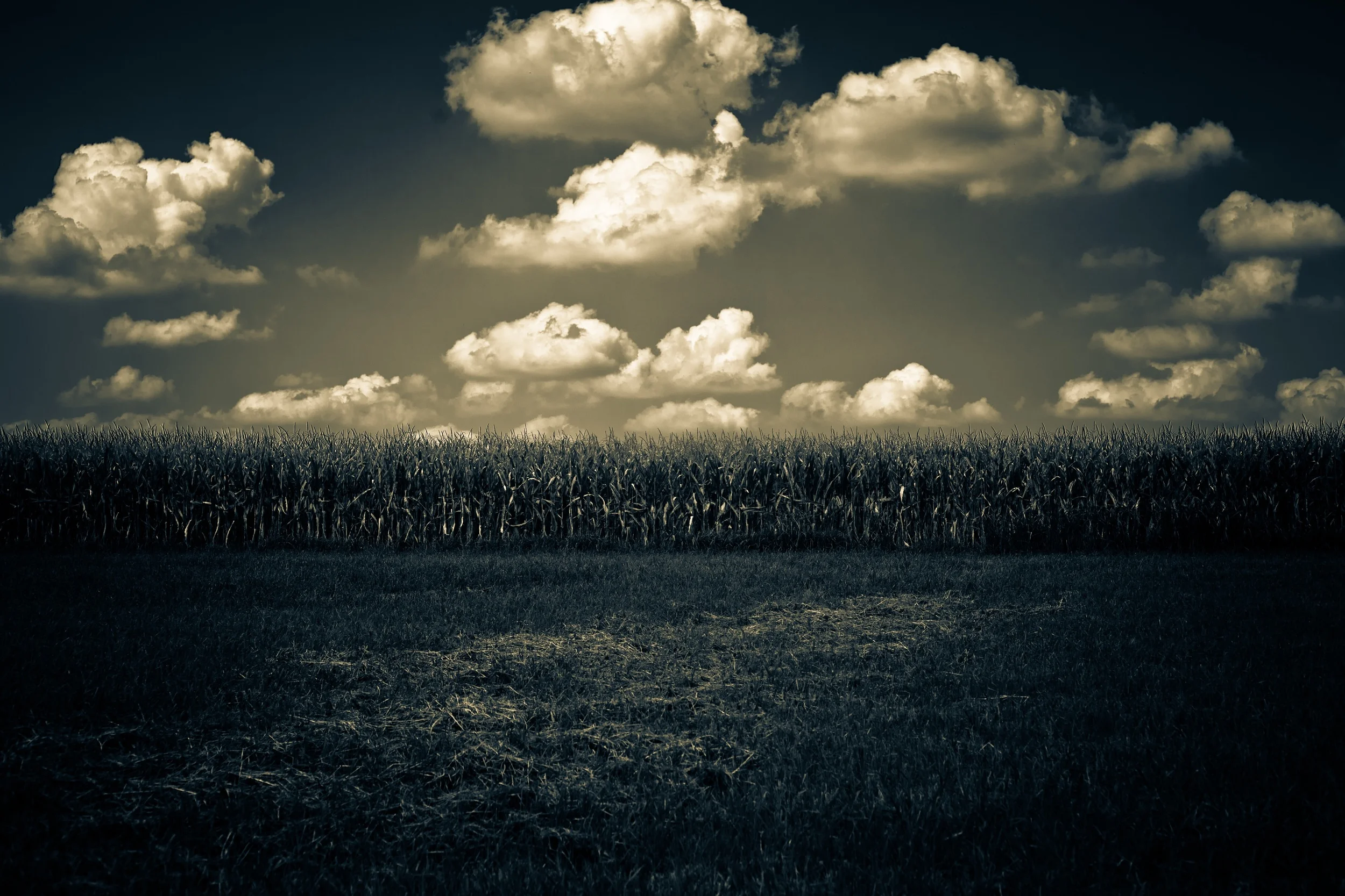 IMG_5382 Compressed.jpg