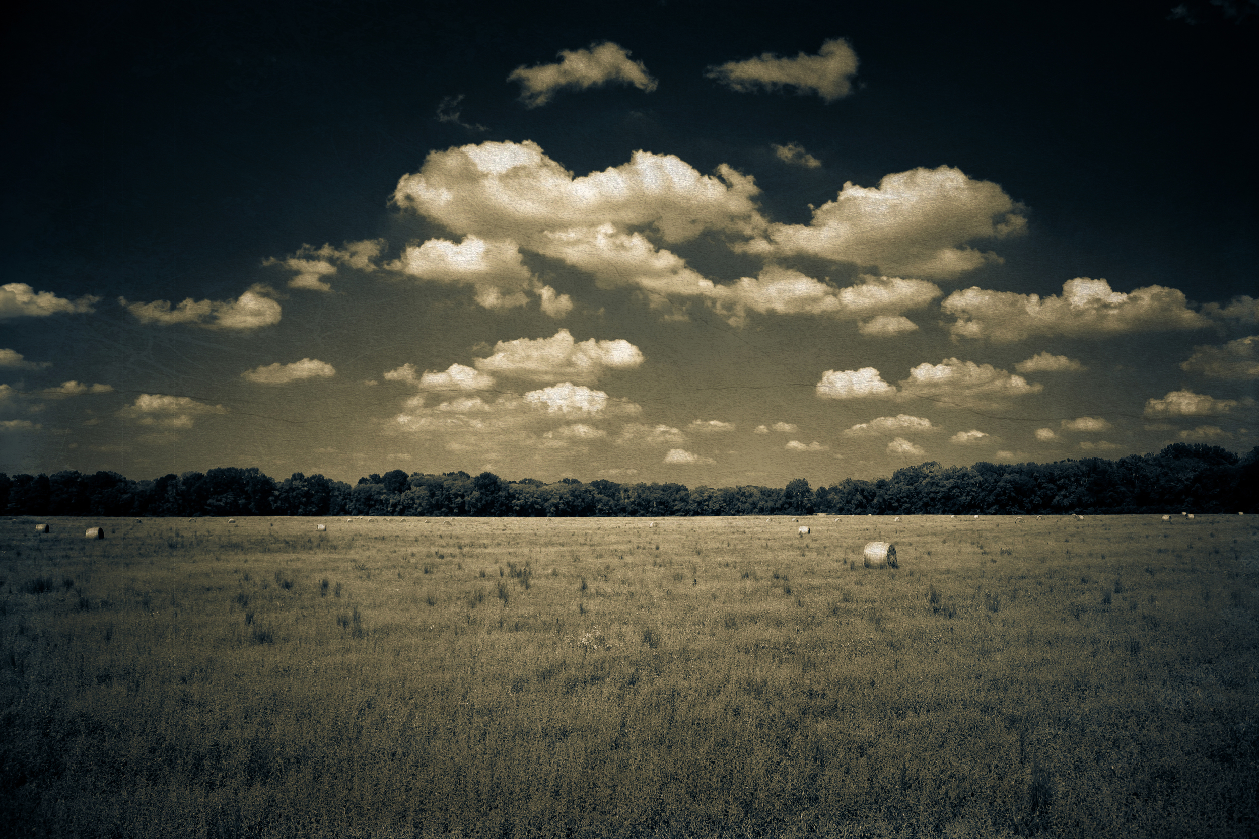 Hay Yo Texture Experiment.jpg