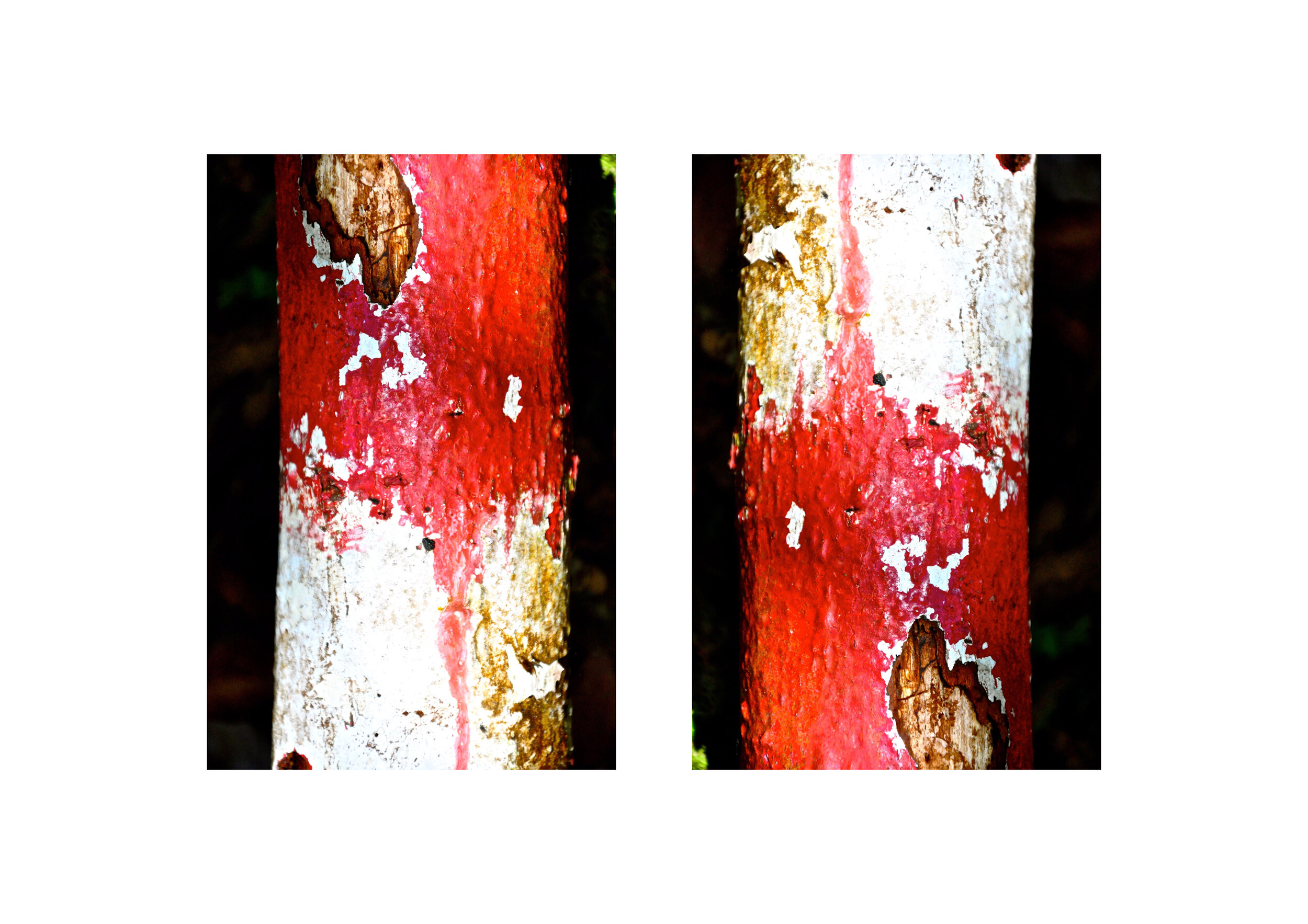 Time 12a + b, 2014 - Diptych