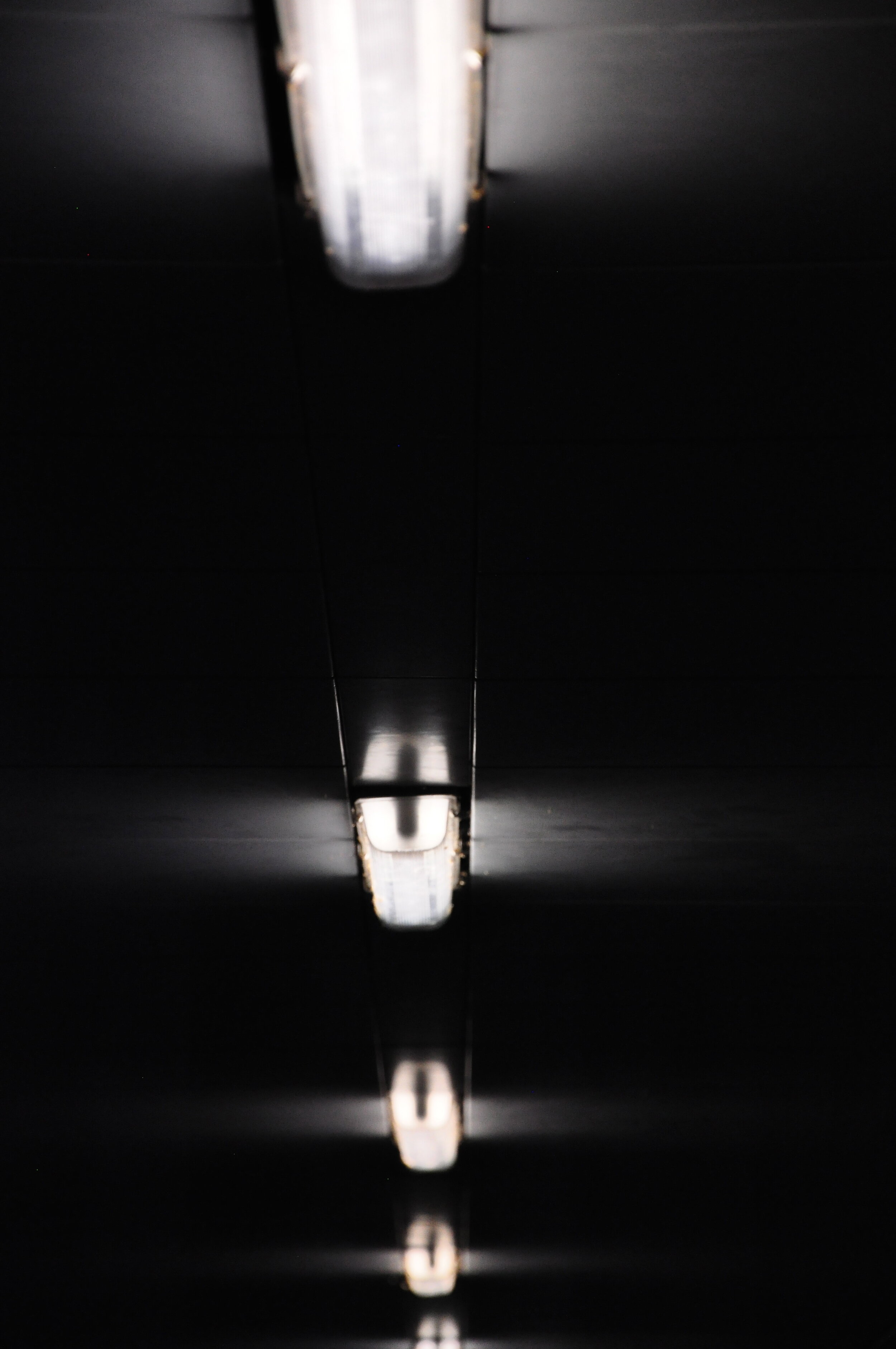 Light 02a, 2012 - Diptych