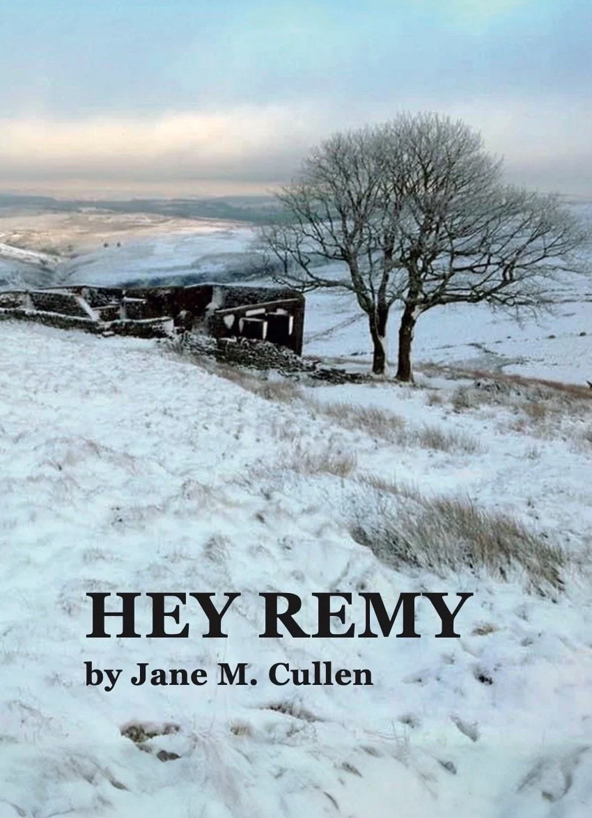 Hey+Remy+text+-+Jane+M+Cullen.jpg