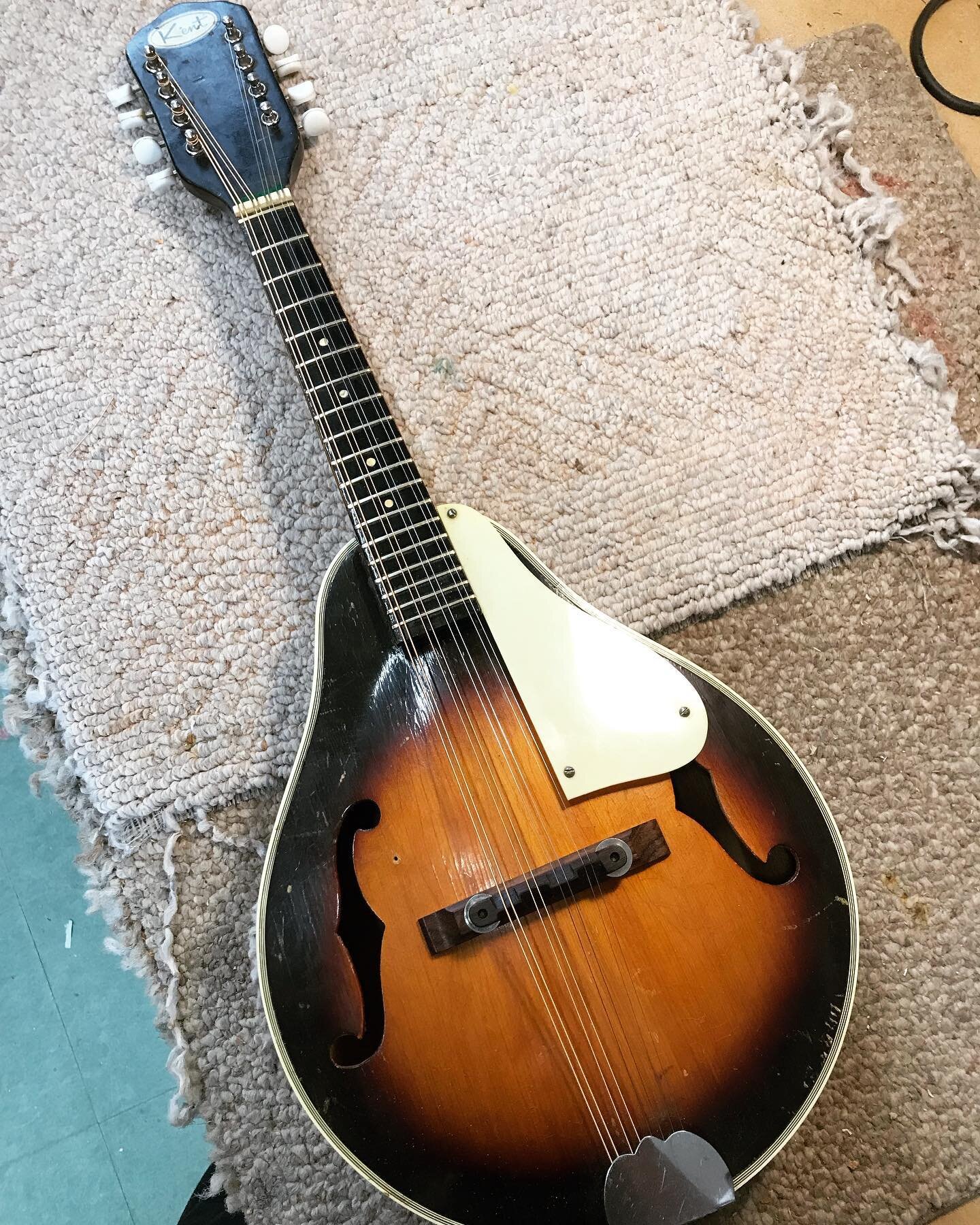 Check out this sweet little Kent mandolin!

It came in in a cardboard box and the neck had come off. The dovetail of the neck had almost disintegrated and needed rebuilding. The dovetail pocket on this mandolin didn&rsquo;t exactly have even or consi