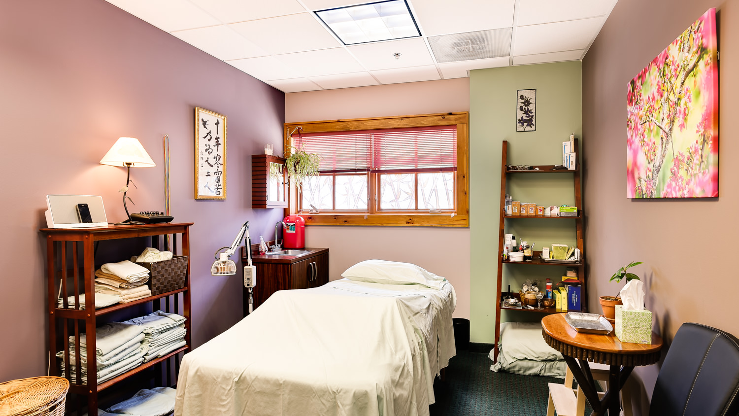 adirondack-integrative-health-acupuncture-lake-placid-ny-5.jpg